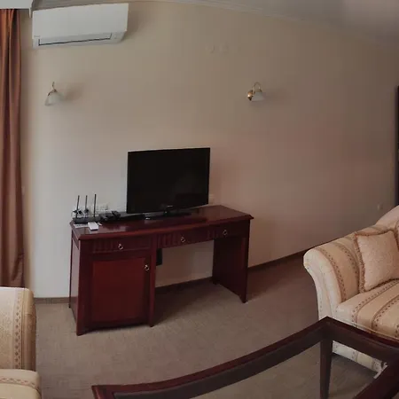 Apartment Downtown Vip