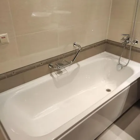 Apartment Downtown Vip